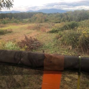 Meet your Posher, Shea